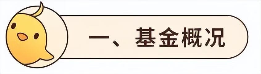 基金测评 | 信诚多策略：金元顺安元启平替阵营又扩充了？